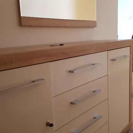 Apartman Alex ポドゴリツァ